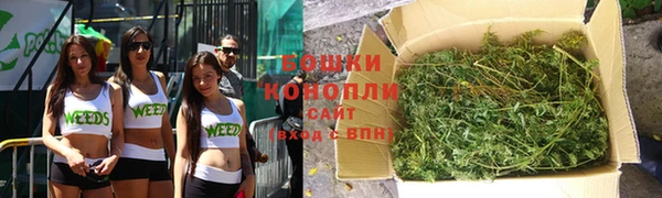 молекула духа Бикин